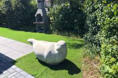 zeehond plus BBQ
