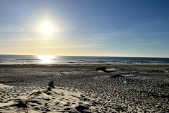 IMG_0344